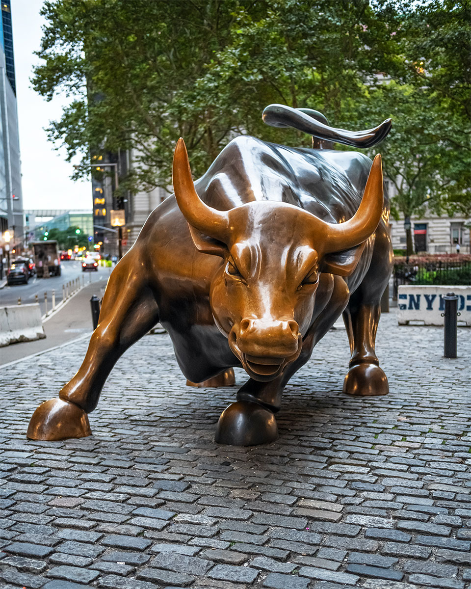 Charging Bull Market